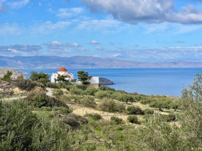 Mochlos Kreta, Mochlos: Grundstück mit Meerblick zu verkaufen Grundstück kaufen